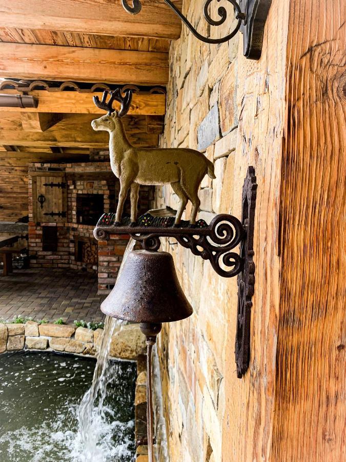 Chalet Laitner Ясиня Екстериор снимка